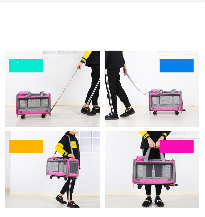 Bolso de transporte para perro – Cómodo, seguro y plegable