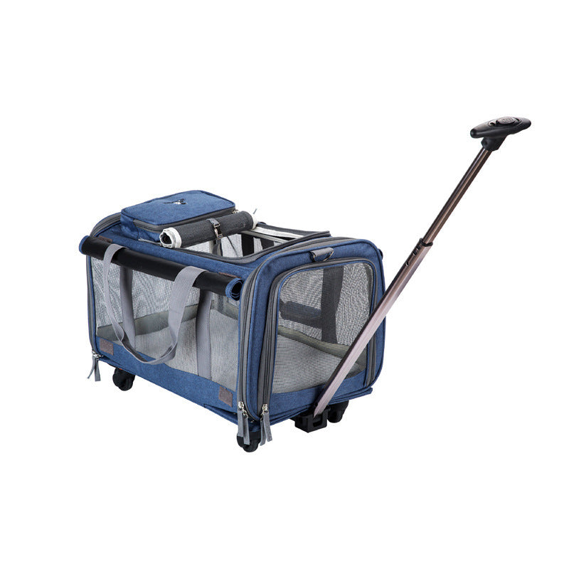 Bolso de transporte para perro – Cómodo, seguro y plegable
