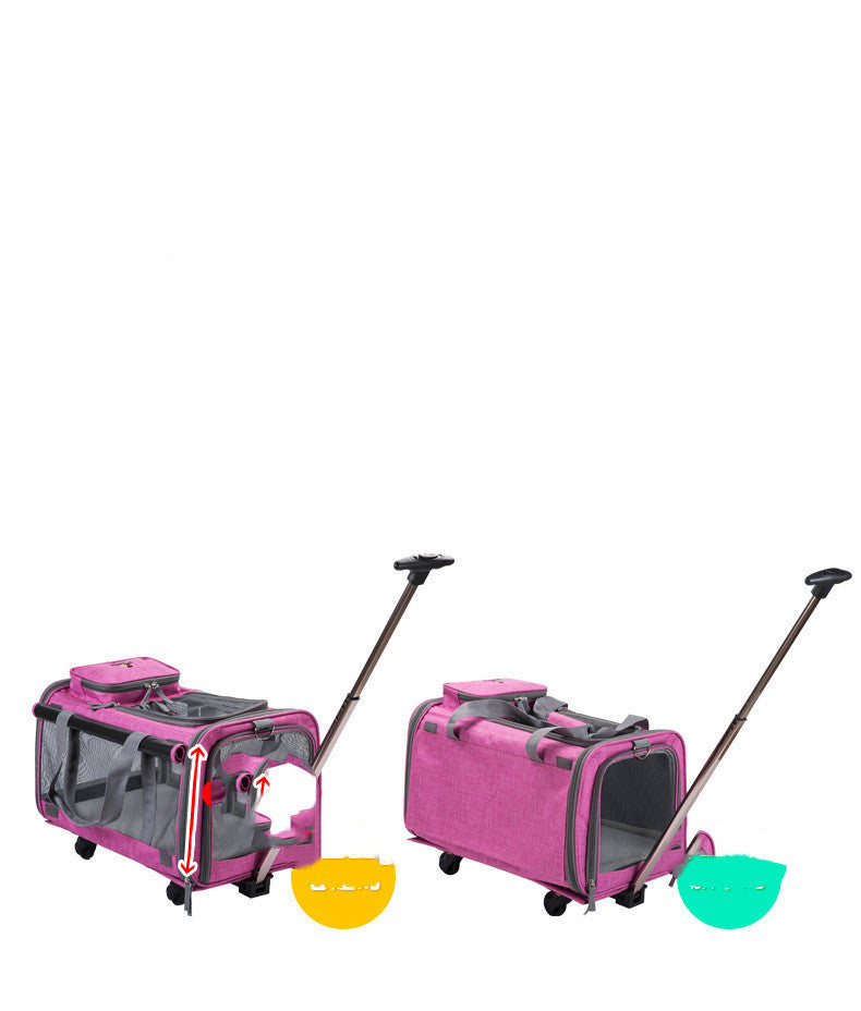 Bolso de transporte para perro – Cómodo, seguro y plegable