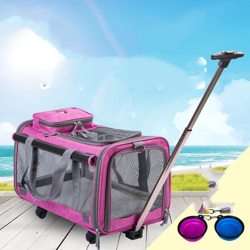 Bolso de transporte para perro – Cómodo, seguro y plegable